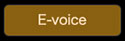 E-voice